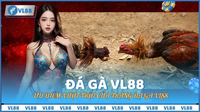 Ưu điểm vượt trội của trang đá gà VL88